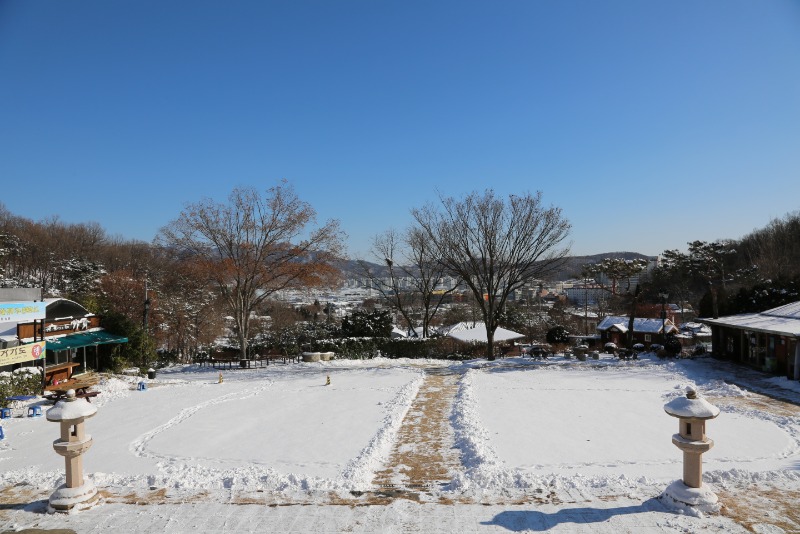2M3A6586.JPG