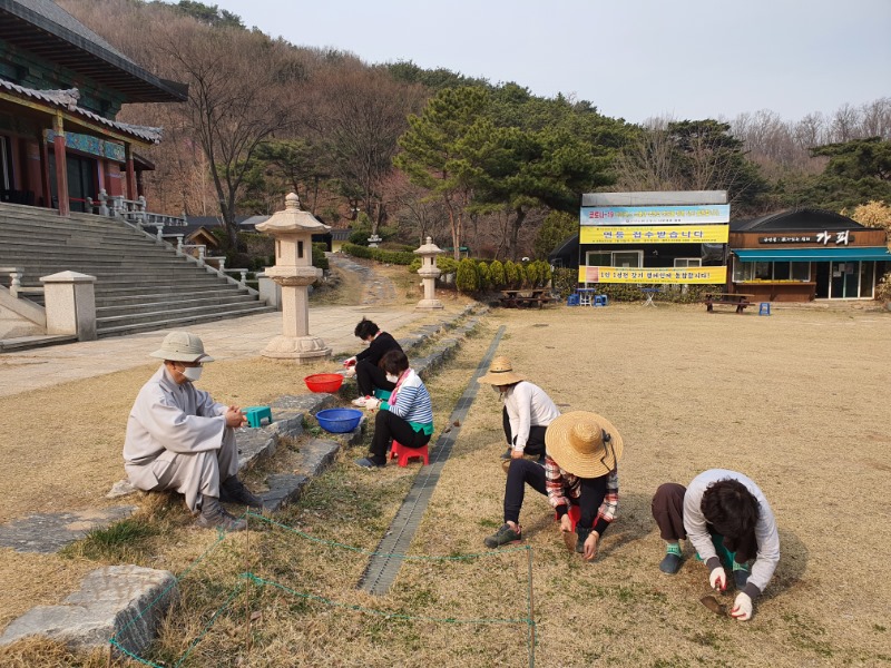 0318 봄날운력.jpg