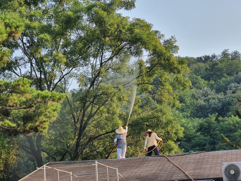 20210727_174837.jpg