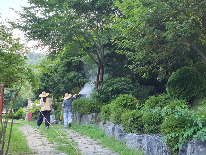 20210727_181149.jpg