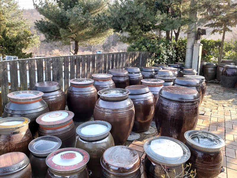 KakaoTalk_20220308_162536498.jpg