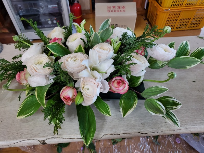 KakaoTalk_20220319_154054944.jpg