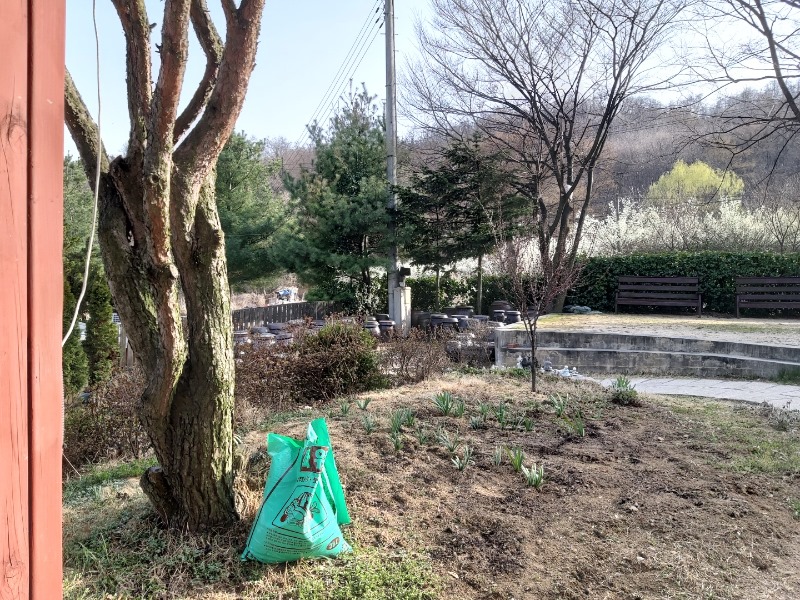 KakaoTalk_20220406_163538109_01.jpg