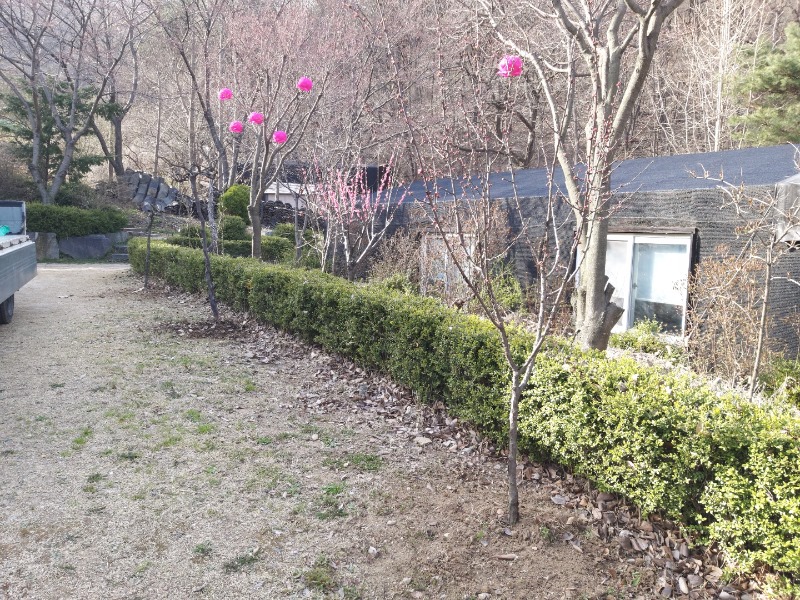 KakaoTalk_20220406_163538109.jpg