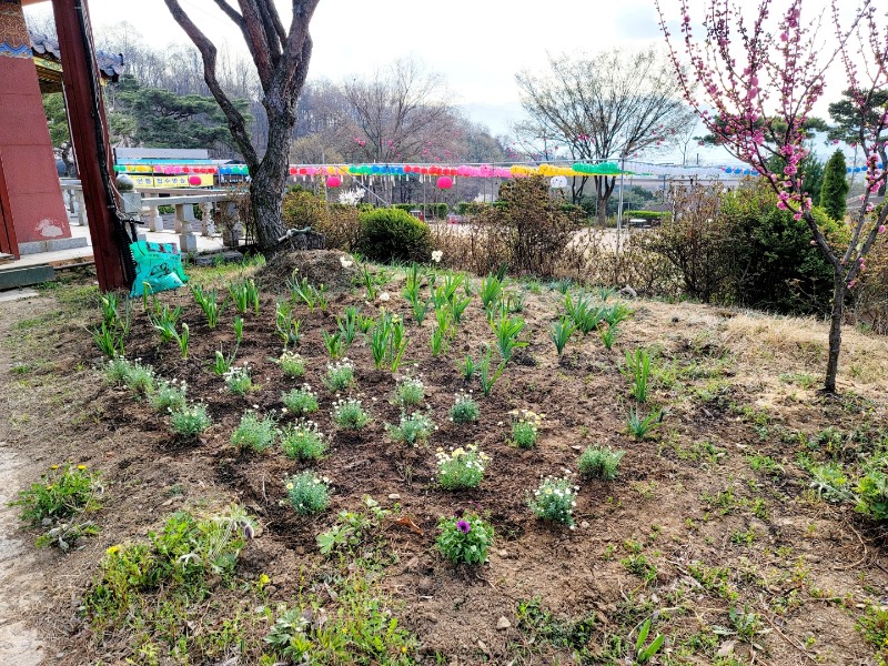 KakaoTalk_20220411_151511494.jpg