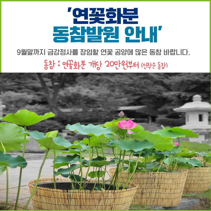 2022 연꽃공양.jpg