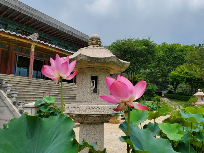 KakaoTalk_20220716_153656307_01.jpg
