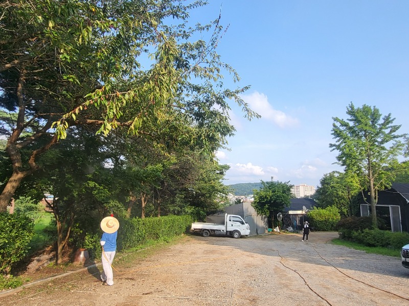 KakaoTalk_20220806_140209985.jpg