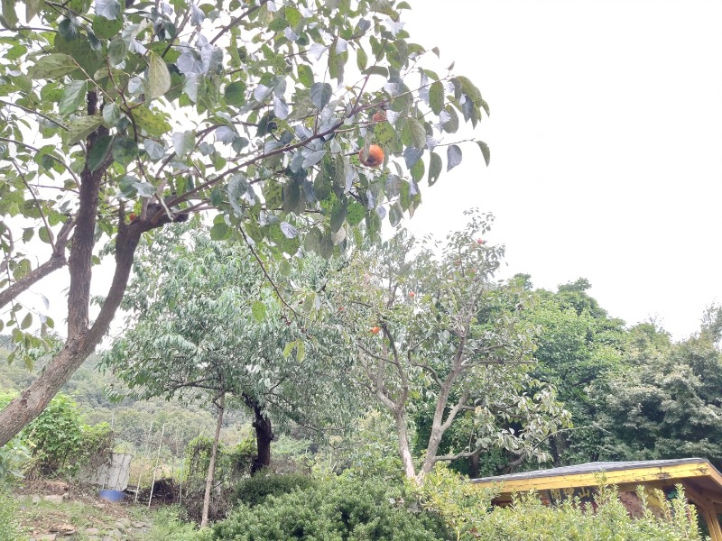 KakaoTalk_20221006_114057561_02.jpg