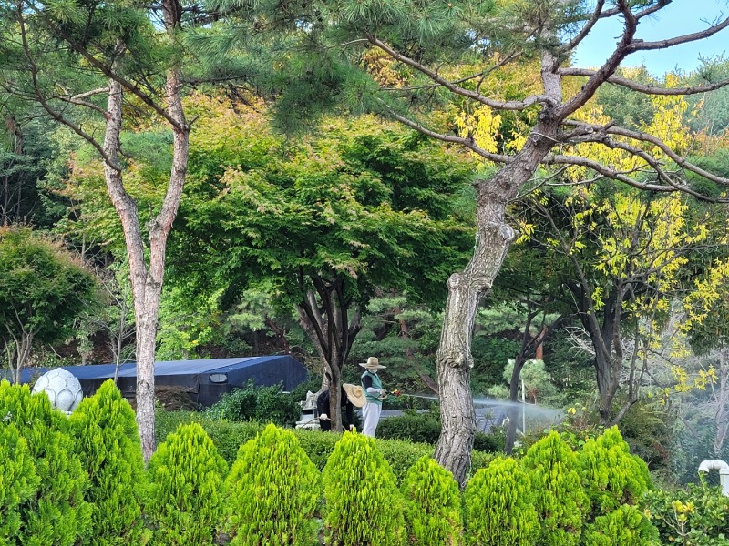 KakaoTalk_20221014_155025368.jpg