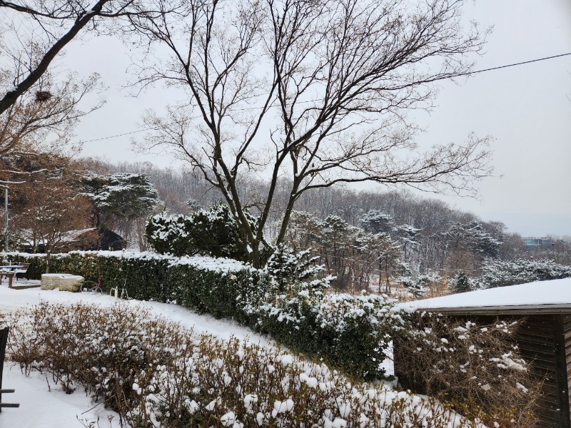 KakaoTalk_20230126_140218492.jpg