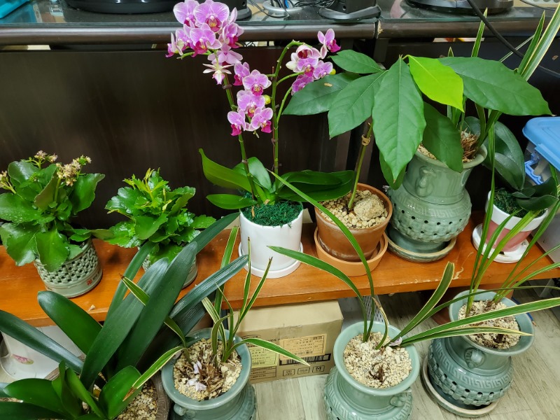 KakaoTalk_20230312_142303131.jpg