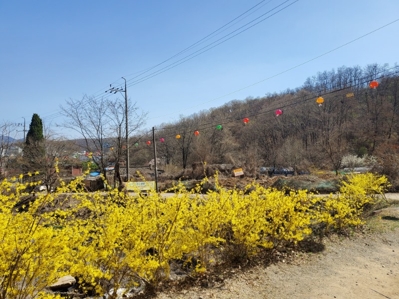 KakaoTalk_20230326_141928904_03.jpg