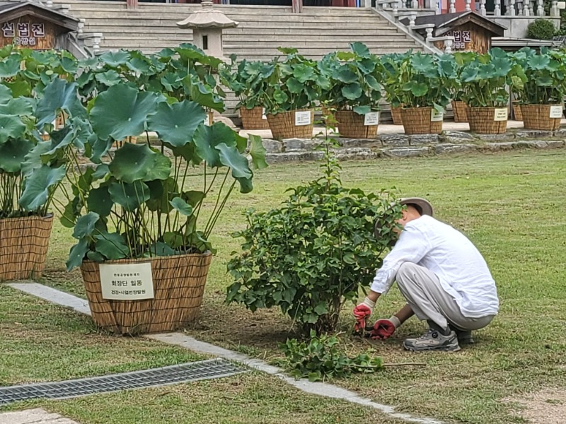 KakaoTalk_20230827_131254726.jpg