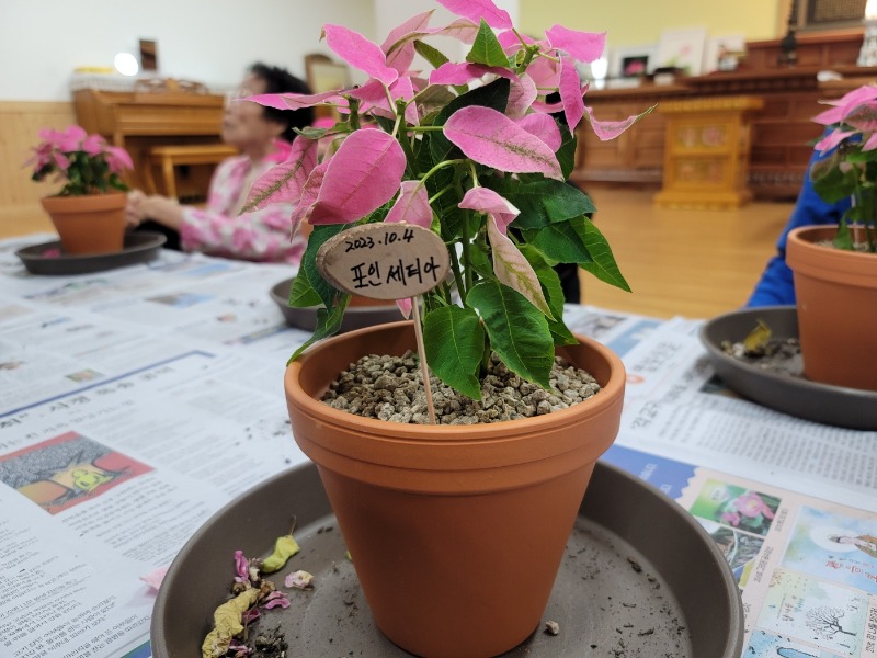 KakaoTalk_20231004_144439841_03.jpg