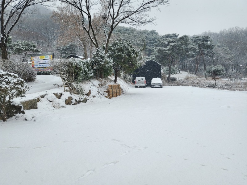 KakaoTalk_20231225_105342538.jpg