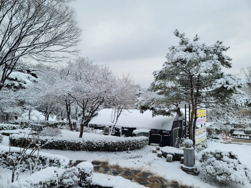 KakaoTalk_20240226_142621833_04.jpg