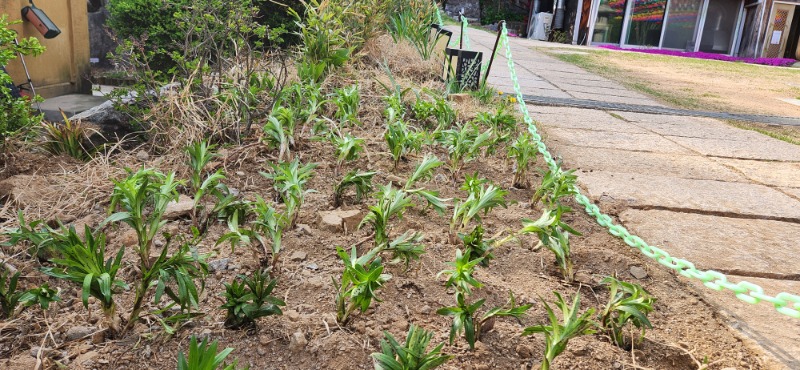 KakaoTalk_20240414_162731193_02.jpg
