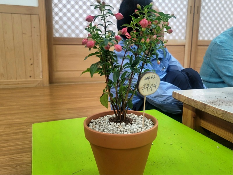 KakaoTalk_20240607_142446415_07.jpg