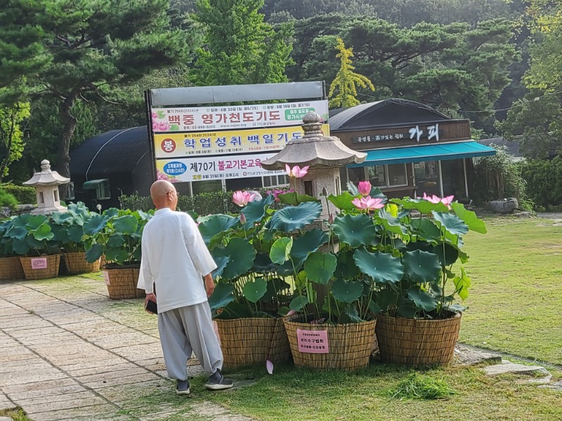 KakaoTalk_20240818_135632059_25.jpg