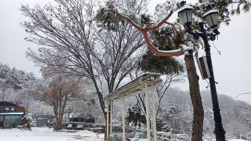 KakaoTalk_20250105_115839857_03.jpg