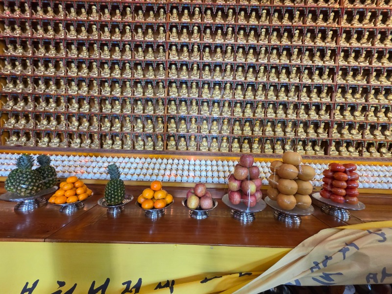 KakaoTalk_20250214_131857366.jpg