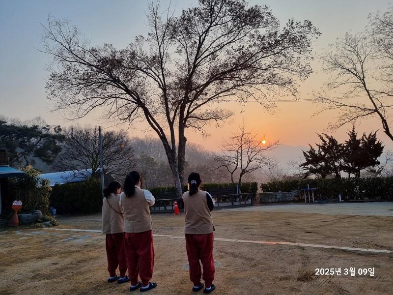 KakaoTalk_20250310_104250262_02.jpg