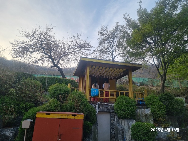 KakaoTalk_20250417_102314614_07.jpg