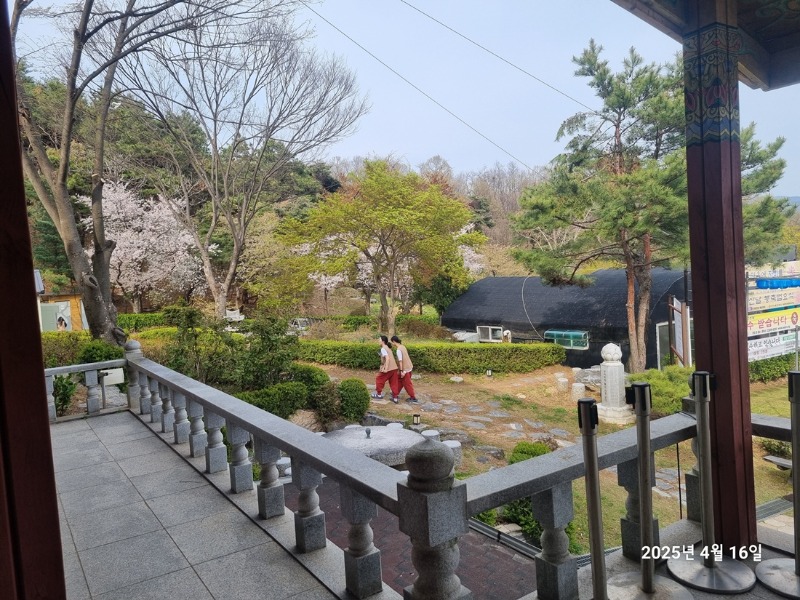 KakaoTalk_20250417_102314614_08.jpg