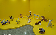 KakaoTalk_20250711_164659000_03.jpg