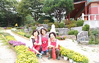 SAM_0423.JPG