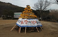 IMG_4023.JPG