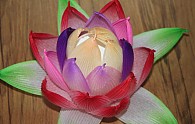 IMG_5144.JPG