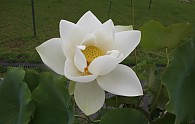 IMG_7028.JPG