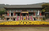 IMG_7669.JPG
