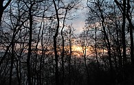 IMG_8073.JPG