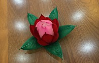 IMG_8923.JPG