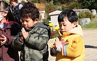 IMG_2175.JPG