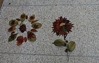 IMG_2327.JPG
