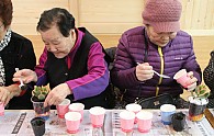 IMG_5268.JPG