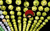 IMG_5987.JPG