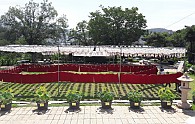20170803_104532.jpg