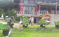 20170808_161826.jpg