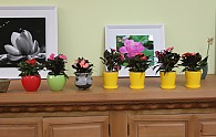 IMG_8204.JPG