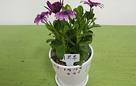 IMG_8340.JPG