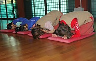 IMG_8353.JPG