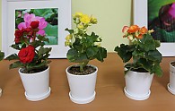 IMG_8536.JPG
