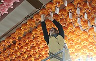 IMG_3300.JPG