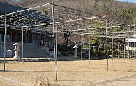 IMG_3313.JPG