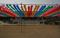 DSC03497.JPG